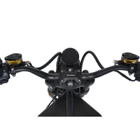 Mangosteen M1PS Chopper Scooter